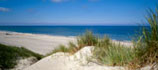 Schöne Dünen in Henne Strand